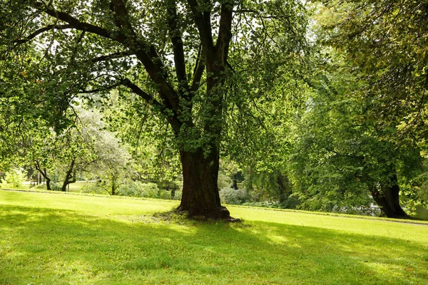 Park Royal Palace Στο Όσλο Νορβηγία — Φωτογραφία Αρχείου