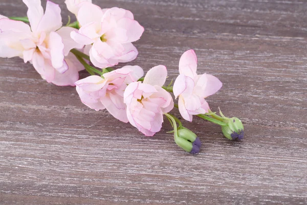 Fleurs Tissu Rose Sur Fond Bois Image Rapprochée — Photo