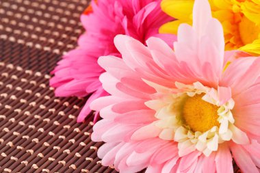 Bambu zemin, portre resim üzerine renkli kumaş papatyalar.