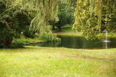 Oslo, Norveç Kraliyet Sarayı park.