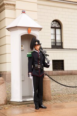 Oslo, Norveç-Ağustos 14, 2014 - Norveç başkenti Kraliyet Sarayı önünde Guard.
