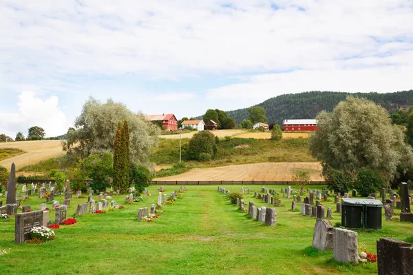 Heddal Norway August 2014 Old Cemetery Norwegian Village Old Church — Stock Photo, Image