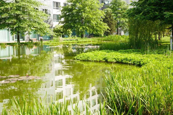 Park Med Damm Och Träd Hamburg — Stockfoto