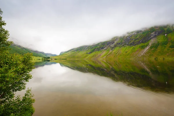 Paisagem Com Fiorde Aldeia Montanhas Noruega Dia Nebuloso — Fotografia de Stock