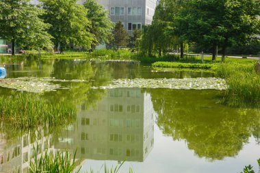 Gölet ve ağaçlar Hamburg Park.