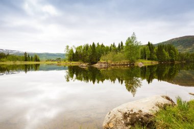 Dağlar, orman ve Norveç'te göl manzara.