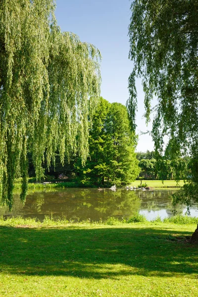 Göl, kuşlar ve ağaçlar Hamburg, Almanya ile manzara.