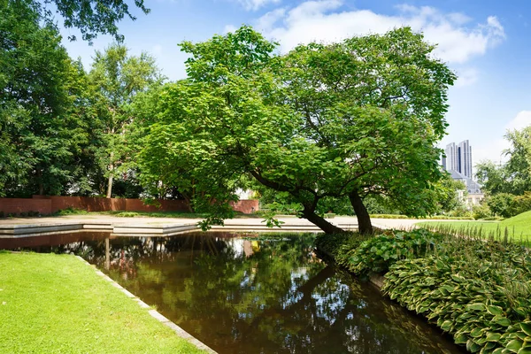 Bomen Een Klein Vijvertje Planten Blomen Oark Hamburg Duitsland — Stockfoto