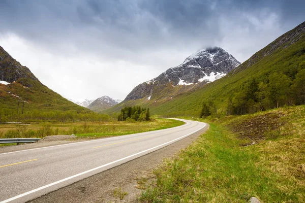 Yüksek rocky Dağları, yol ve Lofoten Adaları, Norveç ağaçlarda manzara.