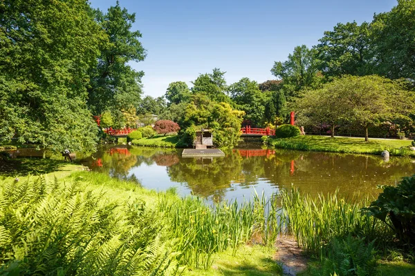 Paysage Avec Pont Bois Rouge Dans Zoo Hagenbeck Hambourg Allemagne — Photo