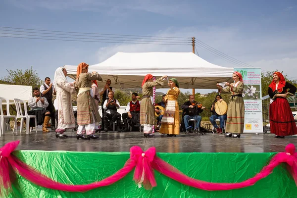 Limnatis Cyprus March 2018 Cypriot Dancers Traditional Clothes Annual Blooming — Stock Photo, Image