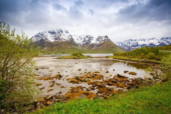 Landskap Med Höga Snöklädda Berg Norge Dimmig Dag — Stockfoto