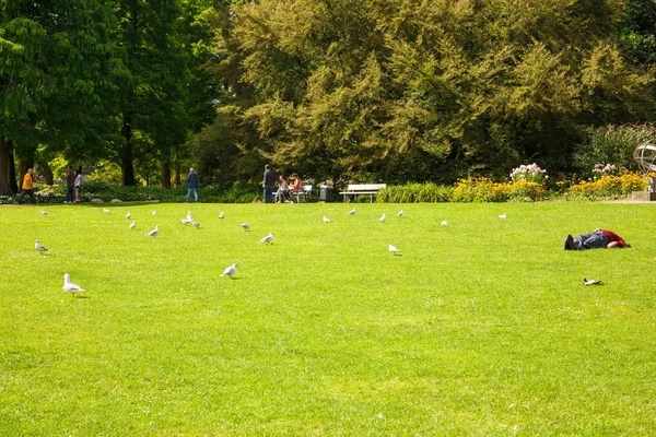 Hamburg Németország 2016 Augusztus Kilátás Planten Blomen Parkban Népszerű Pihentető — Stock Fotó