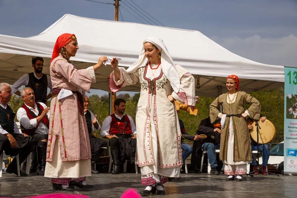 Limnatis Cyprus March 2018 Cypriot Dancers Traditional Clothes Annual Blooming — Stock Photo, Image