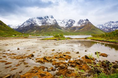 Norveç, yüksek karlı dağlarda, yatay, sisli gün.