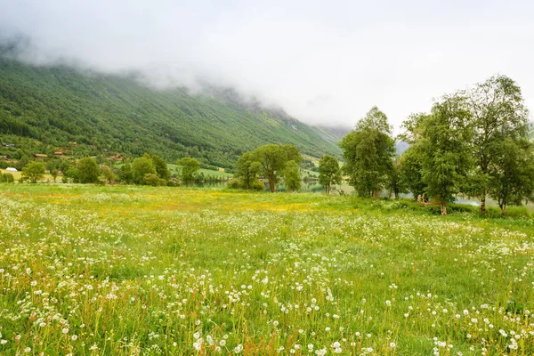 Paysage Avec Montagnes Village Prairie Norvège Journée Brumeuse — Photo