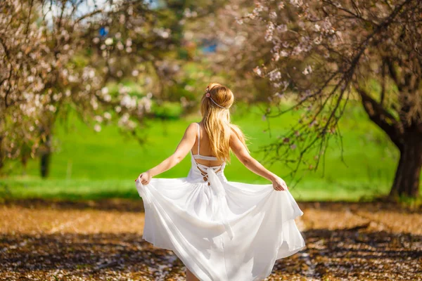 Joven Hermosa Mujer Rubia Romántica Vestido Blanco Jardín Floreciente Imagen de stock