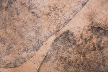 Arka plan, metin veya içerik için kopya alanı olarak beton zemin dokusuna.