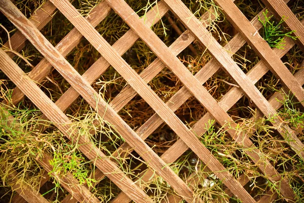 Oude Houten Hek Tuin — Stockfoto