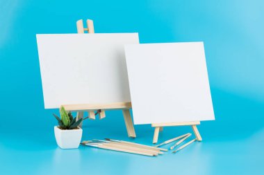 Şeseller ve fırçalar