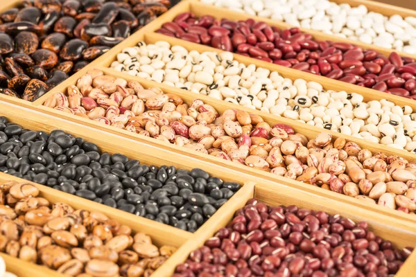 Different beans — Stock Photo, Image