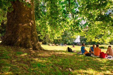 Londra, İngiltere - 24 Ağustos 2019 - İnsanlar sıcak yaz gününde Richmond Park 'ta dinleniyor.