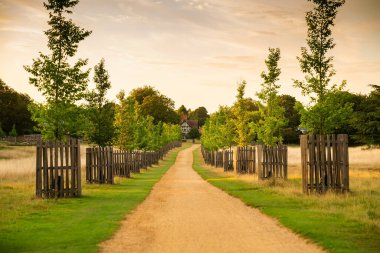 Richmond Park, Londra, İngiltere 'de güneşli bir yaz gününde ağaçlarla, tarlalarla, patikalarla ve evlerle manzara.