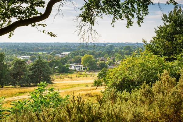 Landschaft Mit Bäumen Und Feld Einem Sonnigen Sommertag Richmond Park — Stockfoto