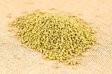 Çuval bezeli yeşil fasulye..