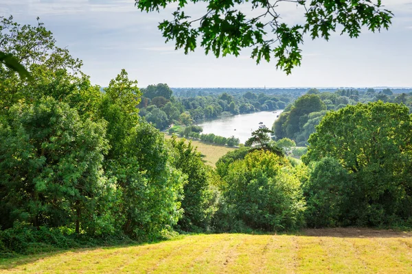 Vista Del Fiume Tamigi Richmond Park Regno Unito Paesaggio Con — Foto Stock