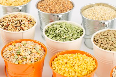 Metalik kovalardaki farklı Groats koleksiyonu. Kinoa, buğday, bezelye ve mercimek.