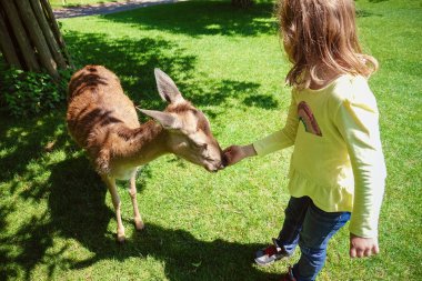 Geyikler Doğa Park besleme mutlu sevimli küçük kız