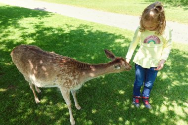 Geyikler Doğa Park besleme mutlu sevimli küçük kız