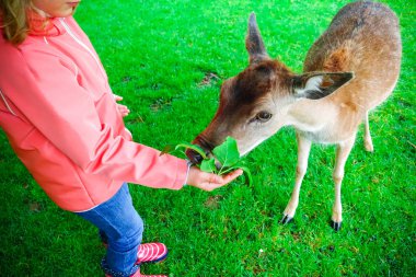 Sonbahar hava Doğa Park beslemeleri geyikler mutlu sevimli küçük kız kauçuk botlar