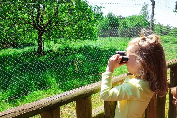 Chica Bonita Explorar Parque Salvaje Busca Animales Exóticos Con Binocular —  Fotos de Stock