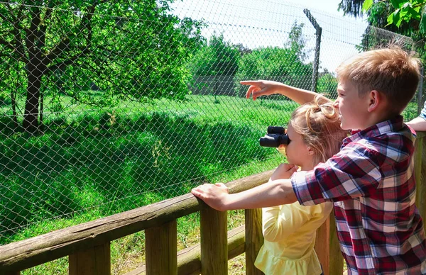 Happy Young Curious Family Explore Wild Park Looking Exotic Animals — Stock Photo, Image