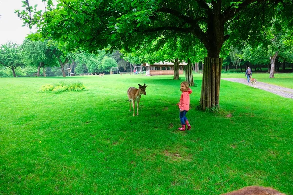 Happy Pretty Little Girl Rubber Boots Feeds Deers Nature Park — Stock Photo, Image