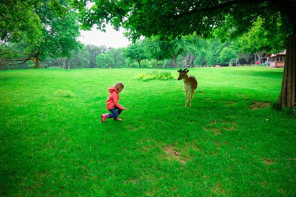 ゴムで幸せなかわいい女の子フィード鹿秋の天候で自然公園のブーツは — ストック写真