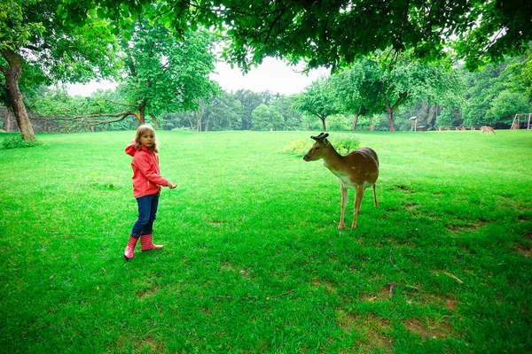 ゴムで幸せなかわいい女の子フィード鹿秋の天候で自然公園のブーツは — ストック写真