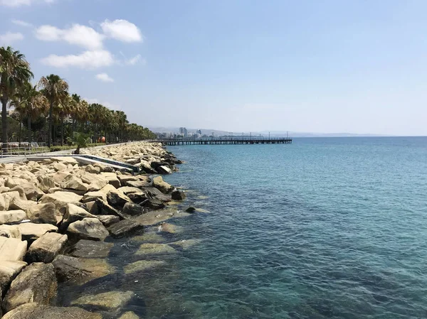 Concept Paysage Pont Bois Eau Bleue Voir — Photo