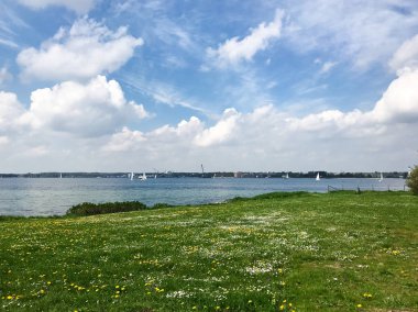 Almanya'da Baltık fiyort önünde Çiçek çayır