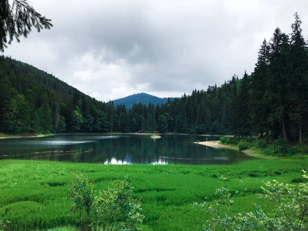 Photo of surrounded with pine trees mountain lake. Synevyr. Ukraine 