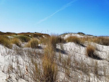 Kum tepelerinin ve Baltık Denizi 'nin Alman sahillerindeki beyaz kumsalların fotoğrafı.