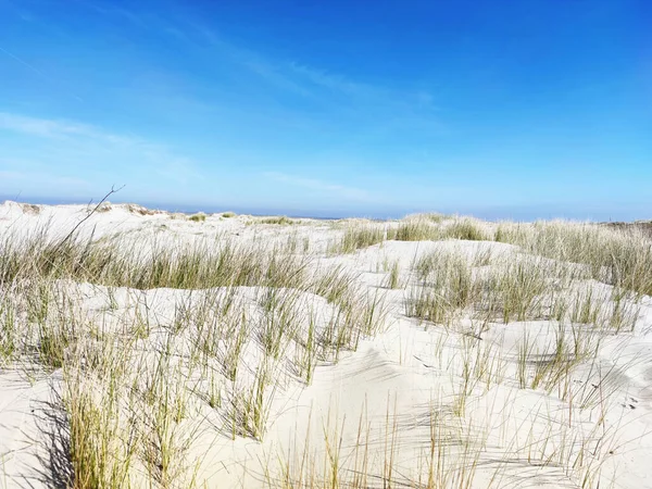 Zdjęcie Wydm Plaży Białym Piaskiem Niemieckim Brzegu Morza Bałtyckiego — Zdjęcie stockowe