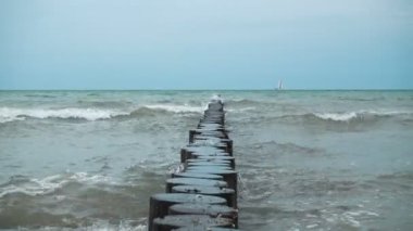 Kuzey Almanya 'da Baltık Denizi' nde rüzgarlı ve bulutlu havada ahşap dalgakıranın 4k videosu