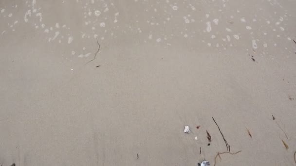 Ovanifrån Video Vågor Vit Sand Vid Östersjön Norra Tyskland — Stockvideo