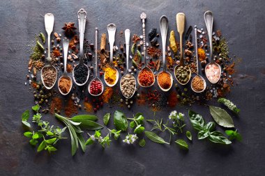 Otlar ve baharatlar kara tahta üzerinde