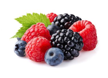 Yaprak beyaz arka plan üzerinde vahşi berry