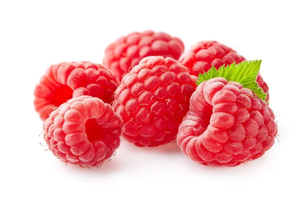 Raspberry Leaves Closeup — Stock Photo, Image