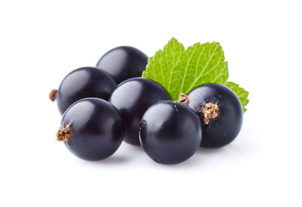 Currant with leaf in closeup